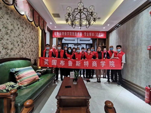 布魯斯特 專業(yè)幫扶助力終端，攜手經(jīng)銷商共贏工藝品未來